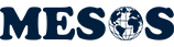 MESOS Global | Blog Bilgi Bankası